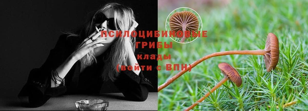гидра Алзамай