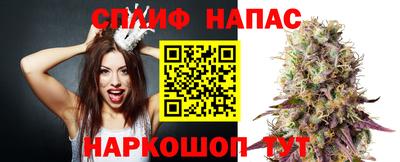 шишки Гусь-Хрустальный