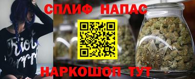 шишки Гусь-Хрустальный