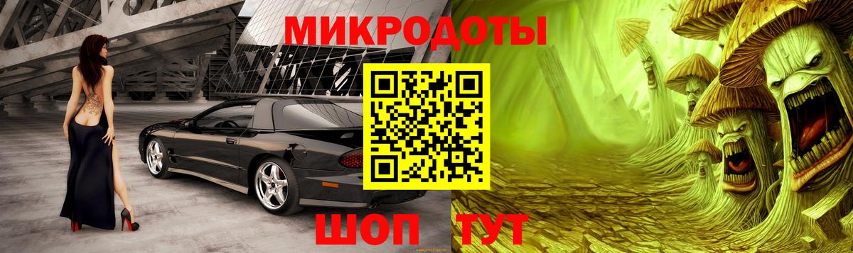 Галлюциногенные грибы мицелий Сосновый Бор