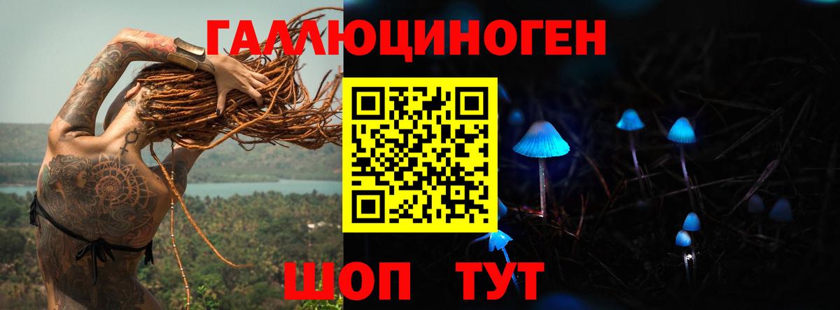 Сосновый Бор  Псилоцибиновые грибы Psilocybe  купить закладку  Вход с VPN 